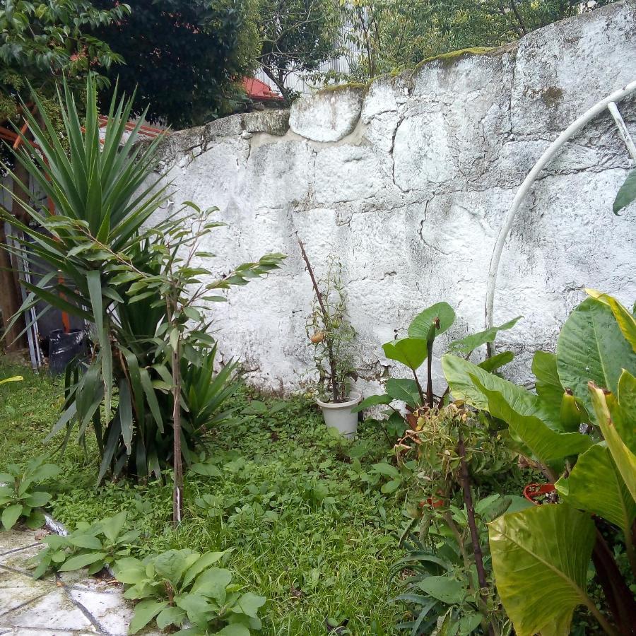 Alegria Apartment Πόρτο Εξωτερικό φωτογραφία